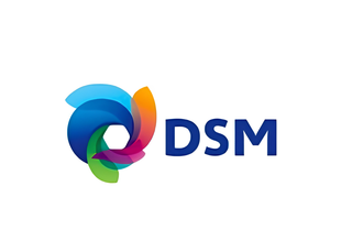 DSM